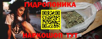 spice Канаш