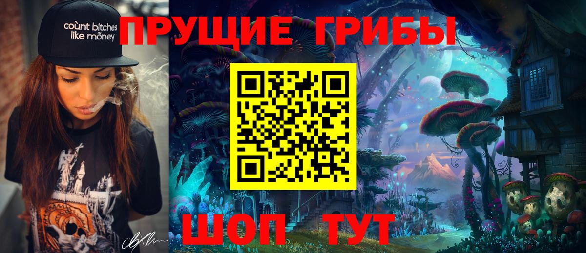 Котовск  Галлюциногенные грибы Cubensis  Вход с VPN 