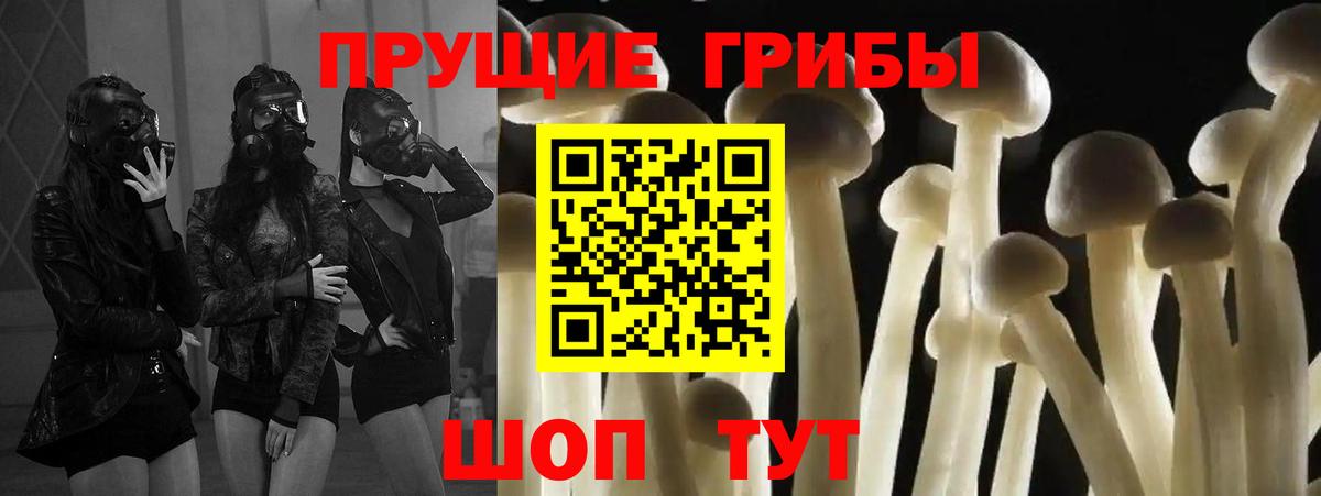Псилоцибиновые грибы прущие грибы Котовск